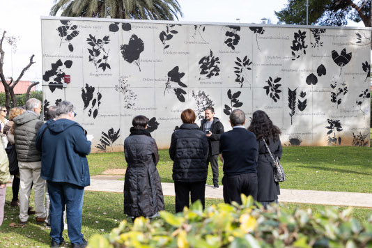 Els valors de la UV: art i patrimoni als campus